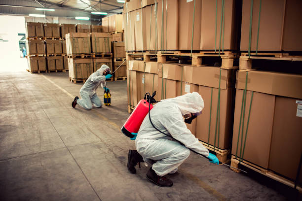 Best Bed Bug Extermination  in Westminster, LA