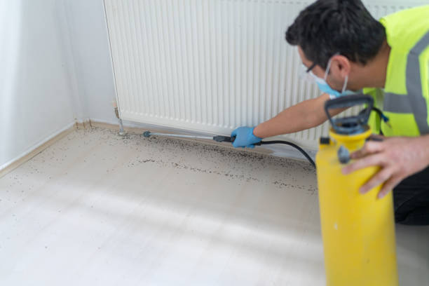 Best Pest Inspection Near Me  in Westminster, LA